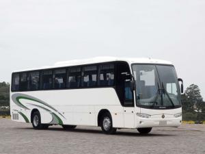Marcopolo Andare Class 1000 2008 года